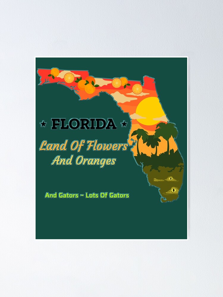 Land of Flowers Florida Pullover Hoodie Land of Flowers Florida Pullover Hoodie
