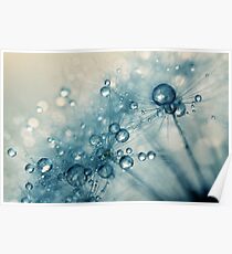 Creamy Blue Dandy Drops Poster