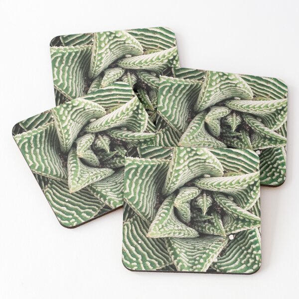 Item preview, Succulent designed and sold by goldenphi618.