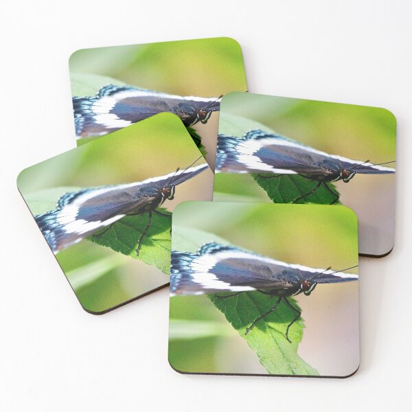 Item preview, White Admiral Butterfly designed and sold by BRENDA DOHERTY.