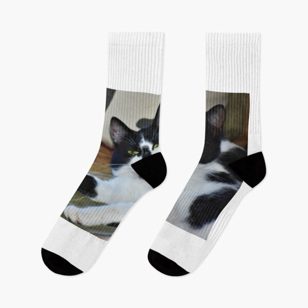Item preview, Spunky and Smudge designed and sold by DonnaM.