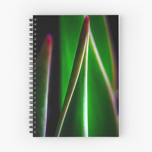 Item preview, Flower leaf in macro designed and sold by CanadianWild418.