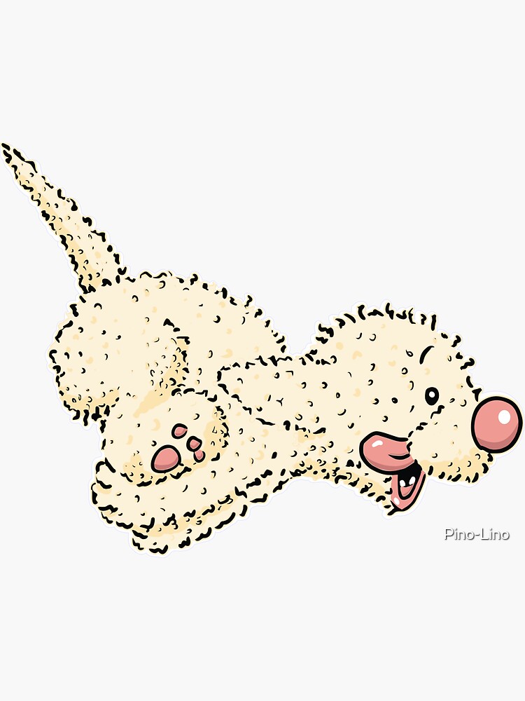 Flying curls 2024 lagotto romagnolo