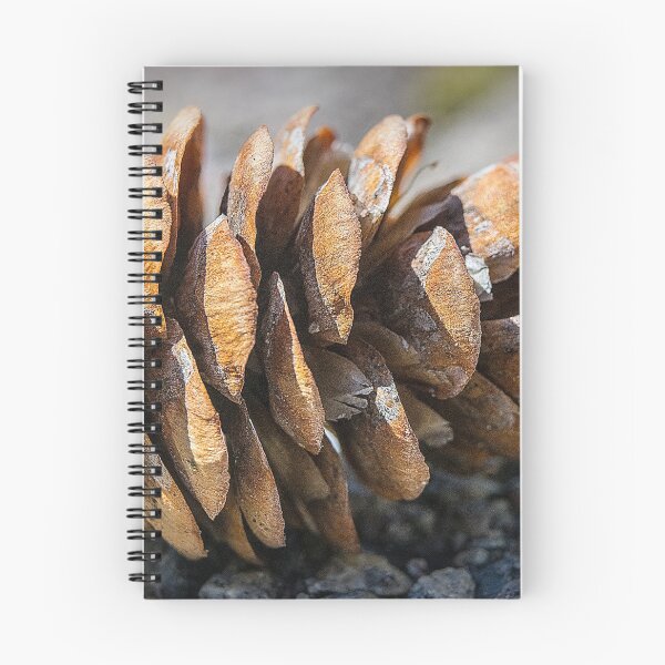 Item preview, Pine cone at rest designed and sold by CanadianWild418.