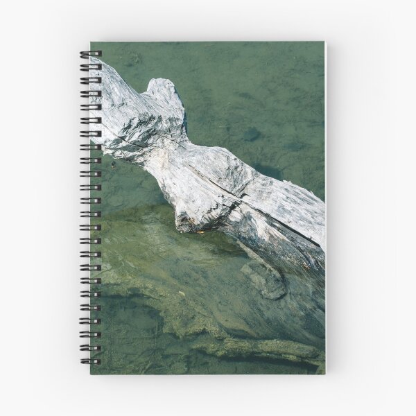 Item preview, Driftwood reflection designed and sold by CanadianWild418.