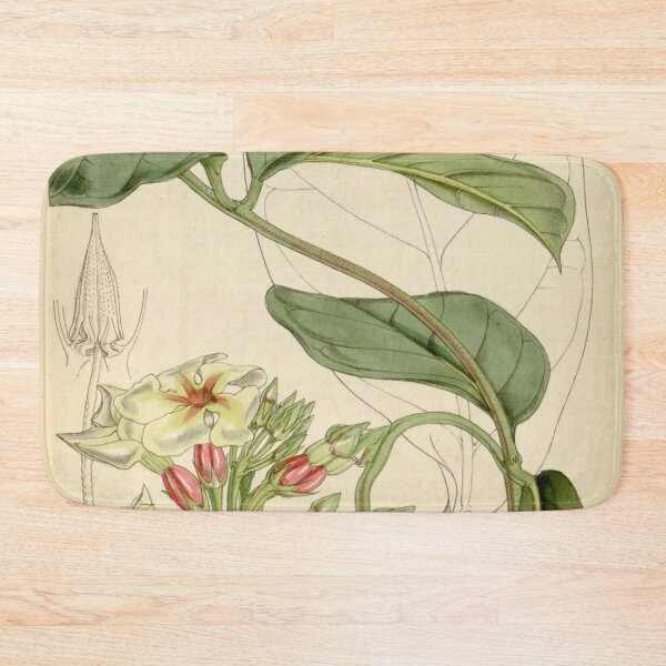 Item preview, Curtis's botanical magazine (Tab. 4547) (8241620802) designed and sold by EsotericBotanic.