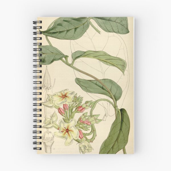 Item preview, Curtis's botanical magazine (Tab. 4547) (8241620802) designed and sold by EsotericBotanic.