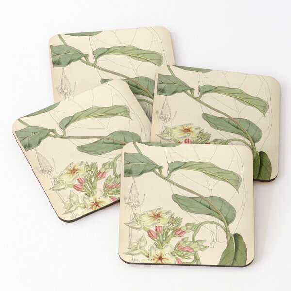 Item preview, Curtis's botanical magazine (Tab. 4547) (8241620802) designed and sold by EsotericBotanic.