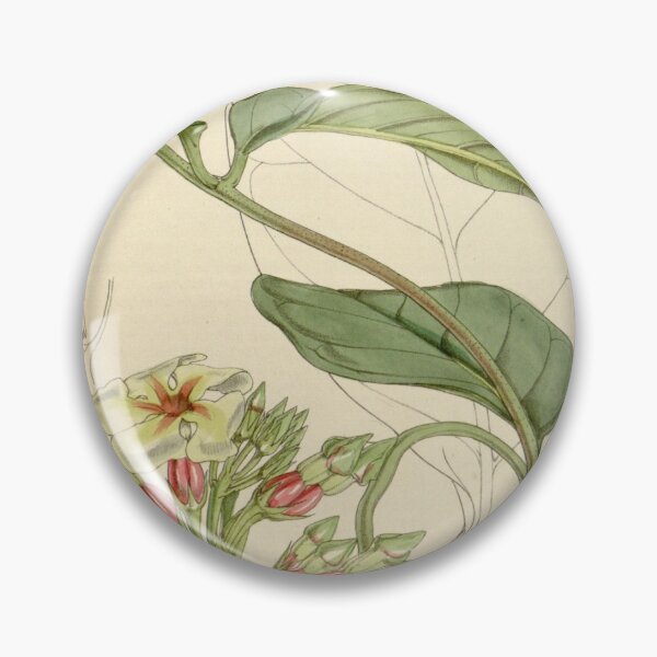 Item preview, Curtis's botanical magazine (Tab. 4547) (8241620802) designed and sold by EsotericBotanic.