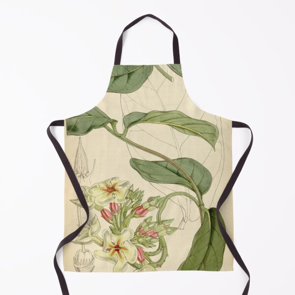 Item preview, Curtis's botanical magazine (Tab. 4547) (8241620802) designed and sold by EsotericBotanic.
