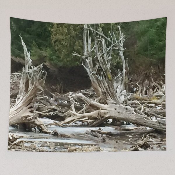 Item preview, Driftwood bay designed and sold by ralphsamo.
