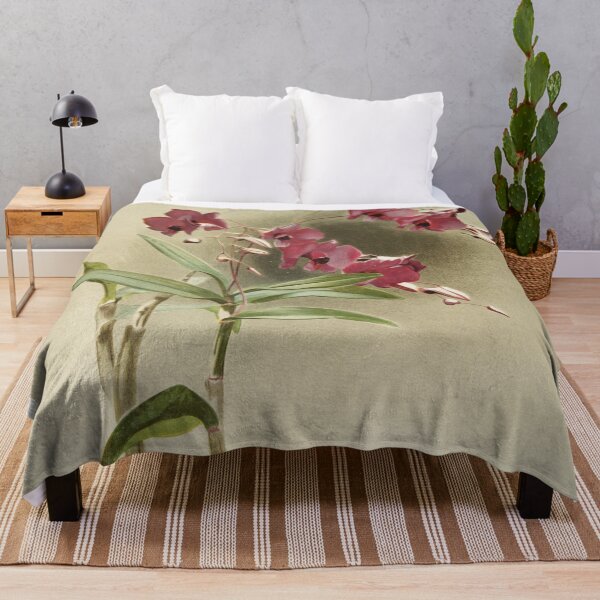Item preview, Reichenbachia: Orchids Illustrated and Described designed and sold by EsotericBotanic.