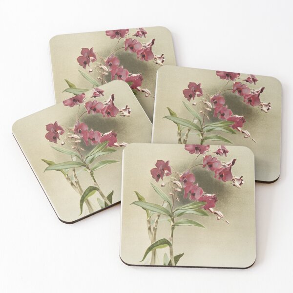 Item preview, Reichenbachia: Orchids Illustrated and Described designed and sold by EsotericBotanic.
