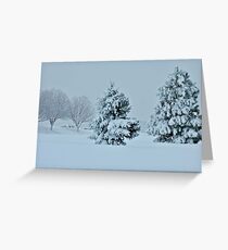 Quiet in the Winter Storm Greeting Card