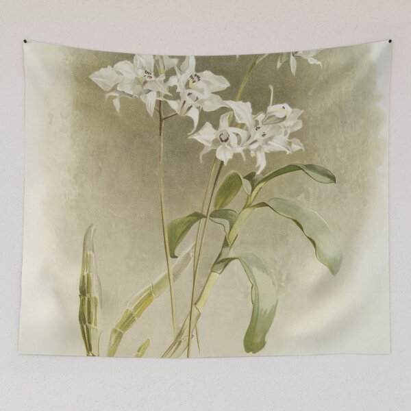 Item preview, Reichenbachia: Orchids Illustrated and Described designed and sold by EsotericBotanic.