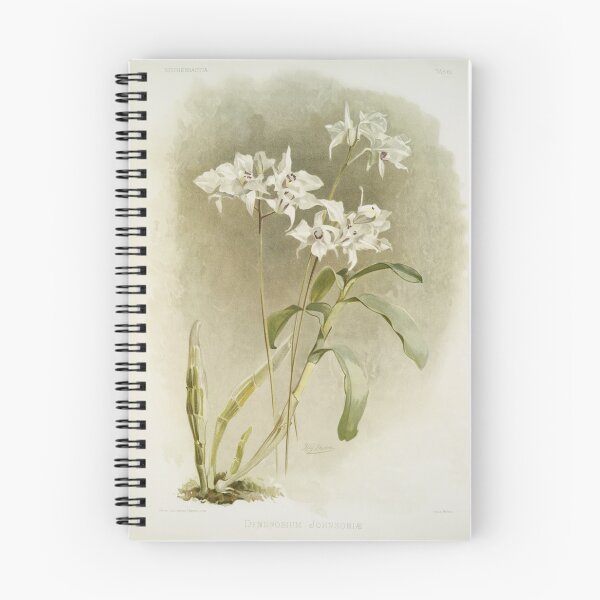 Item preview, Reichenbachia: Orchids Illustrated and Described designed and sold by EsotericBotanic.