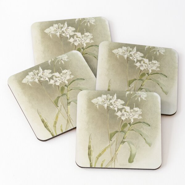 Item preview, Reichenbachia: Orchids Illustrated and Described designed and sold by EsotericBotanic.