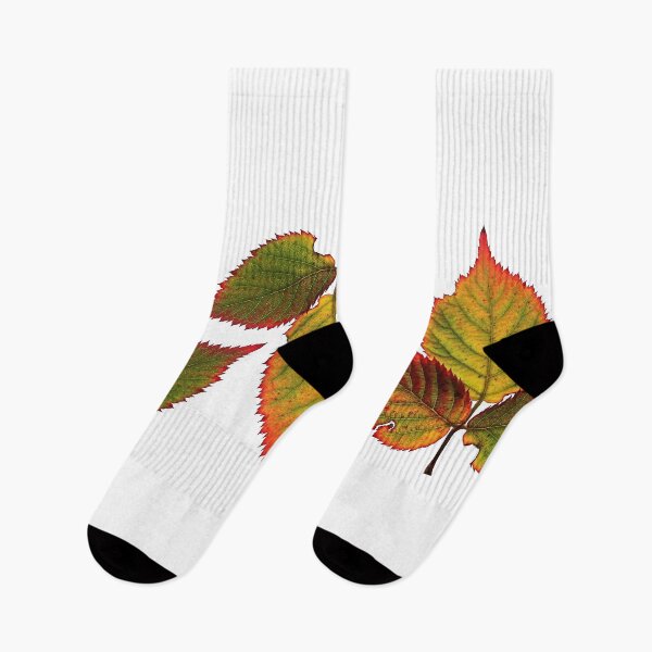 Item preview, Fall leaves designed and sold by Lupappdesigns.