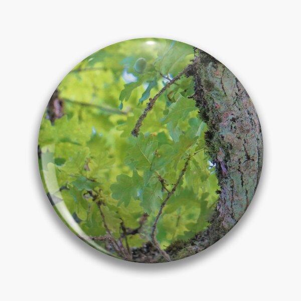 Item preview, a nice picture of an acorn tree designed and sold by ToniStauche.