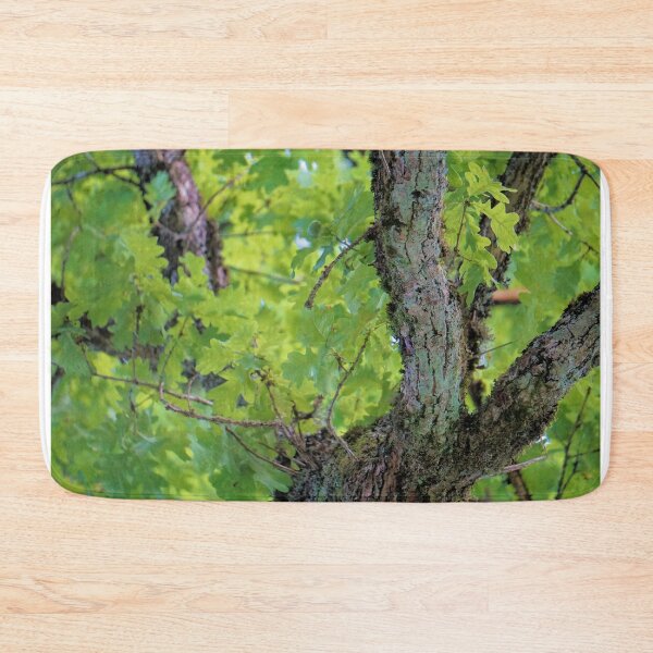 Item preview, a nice picture of an acorn tree designed and sold by ToniStauche.