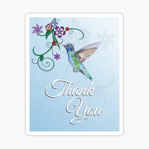 Thank You - Hummingbird Sticker
