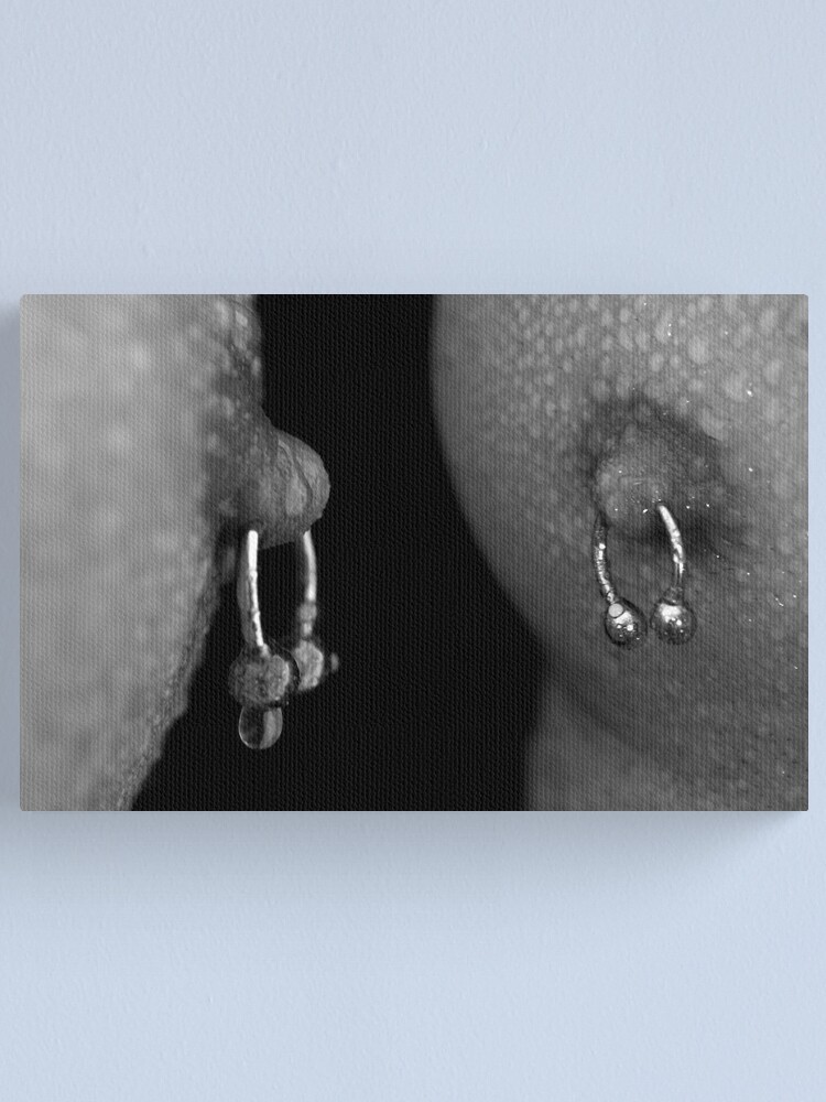 Alternate view of piercing Canvas Print