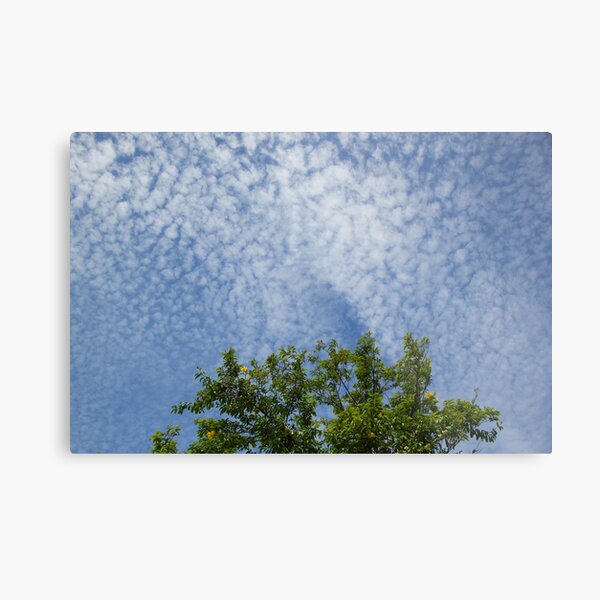 Carefree Clouds Metal Print