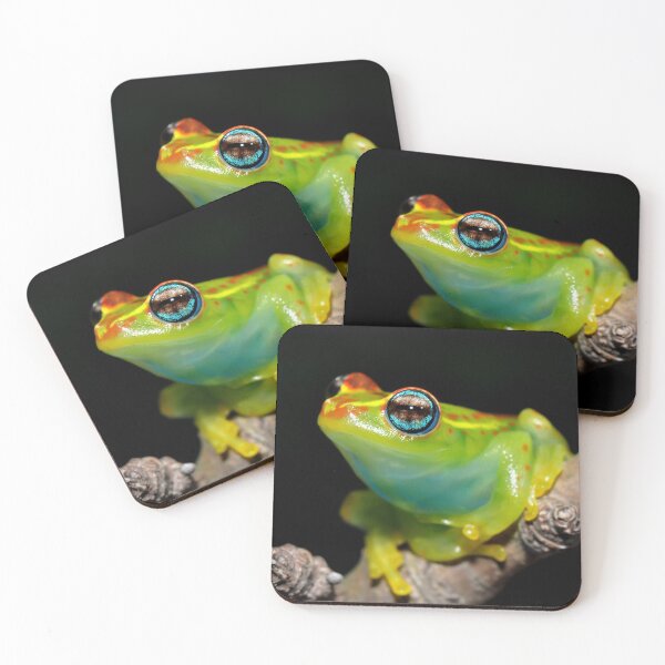 Item preview, Madagascar Bright-Eyed Frog designed and sold by ReptileAmphibia.