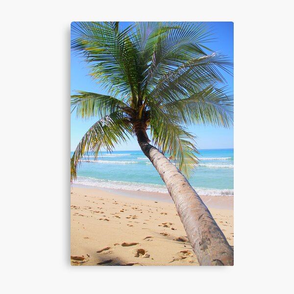Reach For The Sky! Metal Print