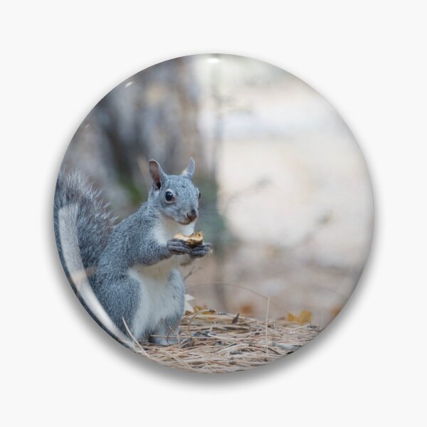 Item preview, Squirrel in Yosemite National Park designed and sold by tessneedham.