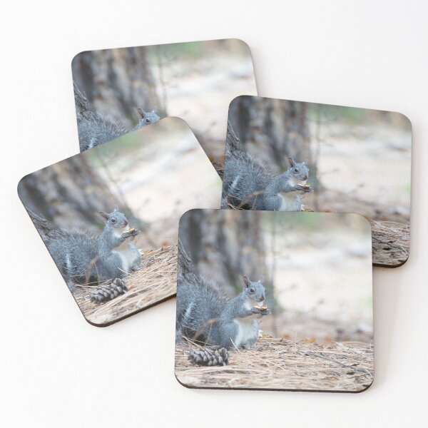 Item preview, Squirrel in Yosemite National Park designed and sold by tessneedham.