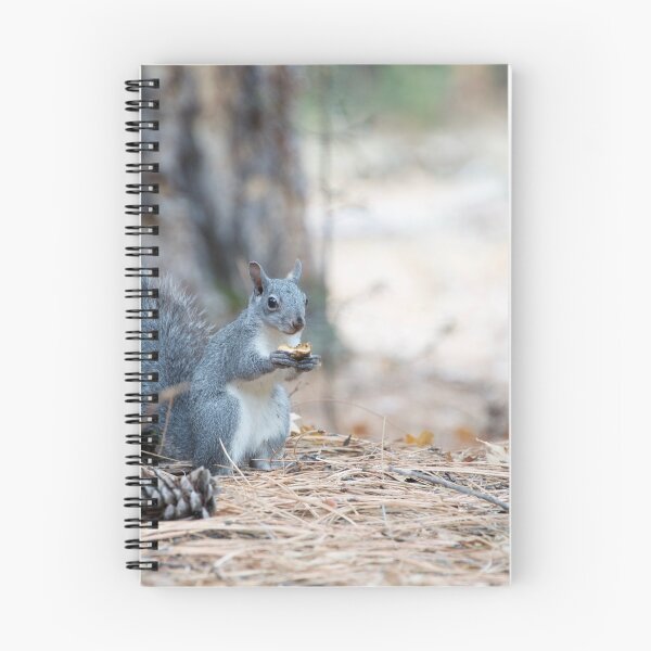 Item preview, Squirrel in Yosemite National Park designed and sold by tessneedham.