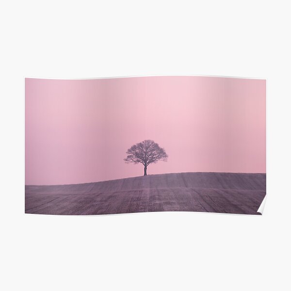 One Pink Tree Hill Poster