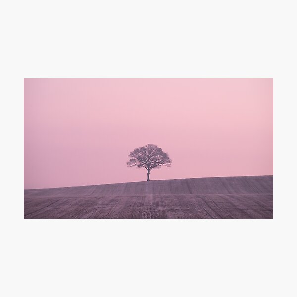 One Pink Tree Hill Photographic Print