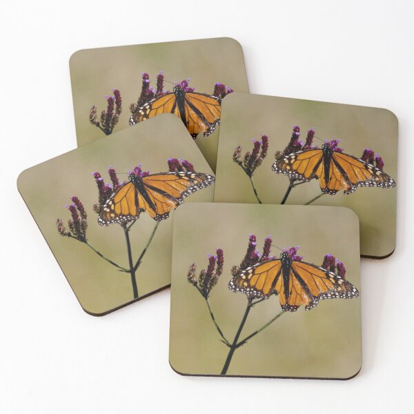 Item preview, Tattered yet beautiful Monarch Butterfly designed and sold by BackyardZoology.