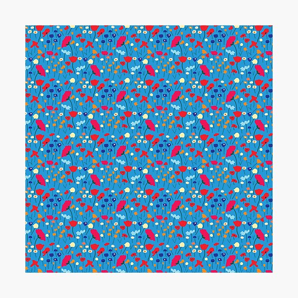 POPPY MEADOW Photographic Print
