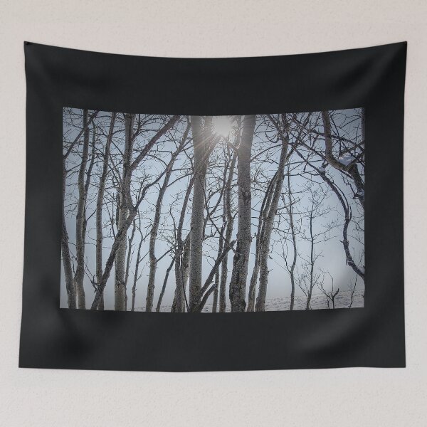 Item preview, Winter sun. designed and sold by CanadianWild418.