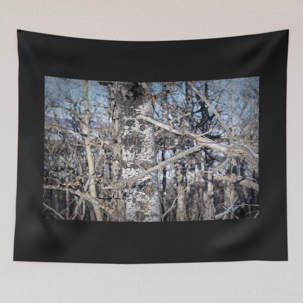 Item preview, Trees whispering designed and sold by CanadianWild418.