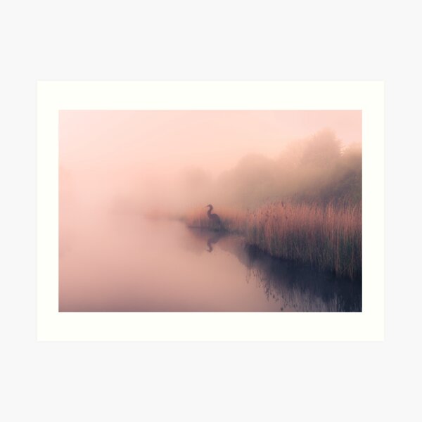 Willow Heron of The Misty Lake Art Print
