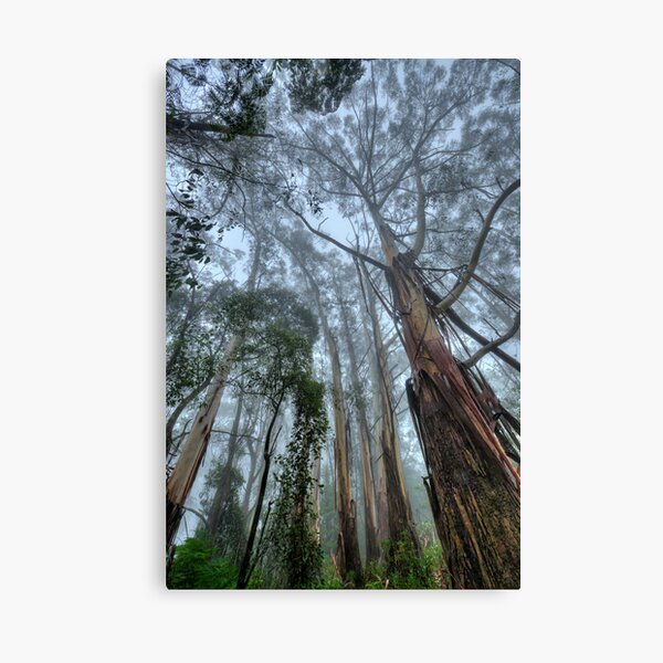 Item preview, Reach for the Clouds designed and sold by Ian English Imagery.