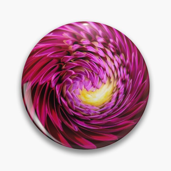 Artikelvorschau, Dahlia Twirl auf Schwarz entworfen und verkauft von Photo Art By Anita.