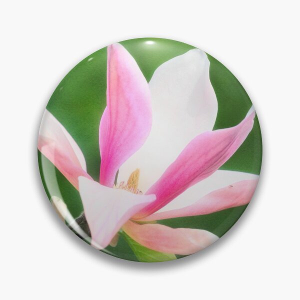 Item preview, Magnificent Daybreak Magnolia at Day's End designed and sold by Photo Art By Anita.