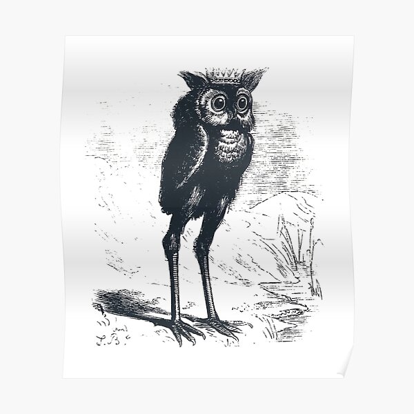 dictionnaire infernal poster dictionnaire infernal poster