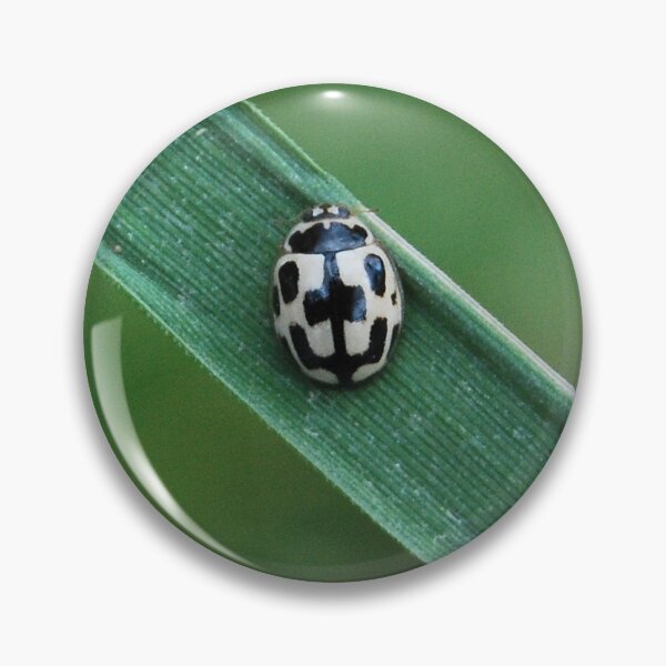 Item preview, Happy ladybird designed and sold by Narwhalbubbles.