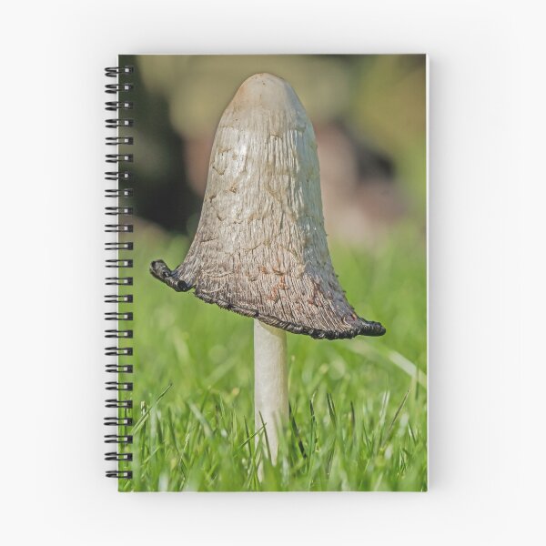 Item preview, Shaggy Inkcap designed and sold by MikeSquires.