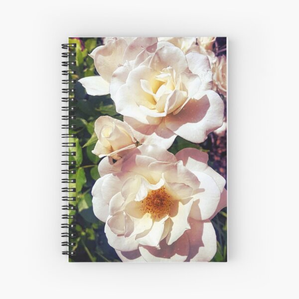 Early Spring Gardenia Roses Spiral Notebook