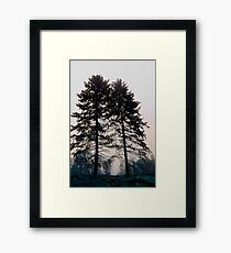Twins Framed Print
