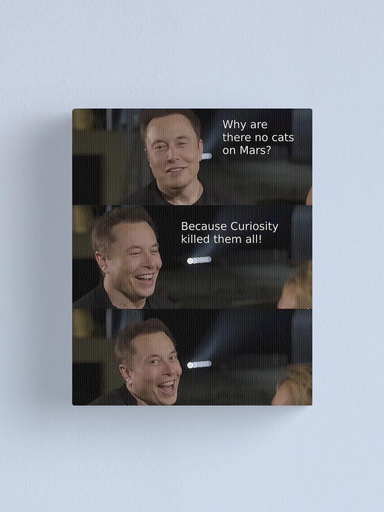 Engraçado Capivara Doge E Elon Meme Mania Posters Canvas