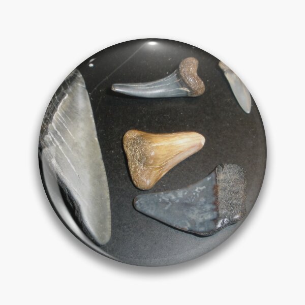 Item preview, Shark teeth designed and sold by ssphotoshop.