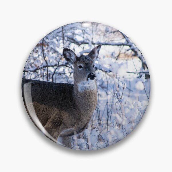 Item preview, Young white-tailed deer designed and sold by CanadianWild418.
